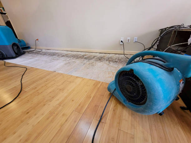 Professional Flood Damage Cleanup technician working in Pinon, AZ